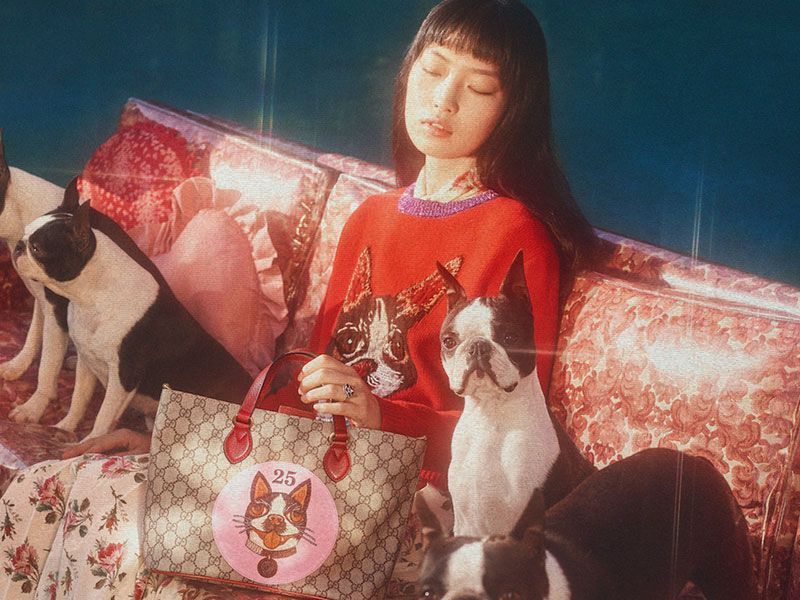 Gucci celebrates the Chinese year with a tribute to the dog