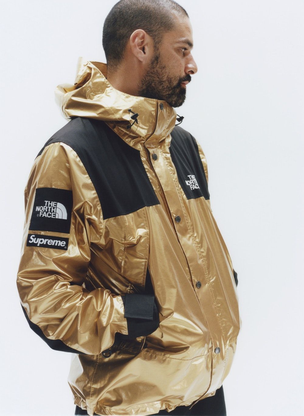 supreme the north face metallic mountain bib pants