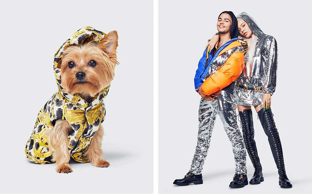 hm moschino dog