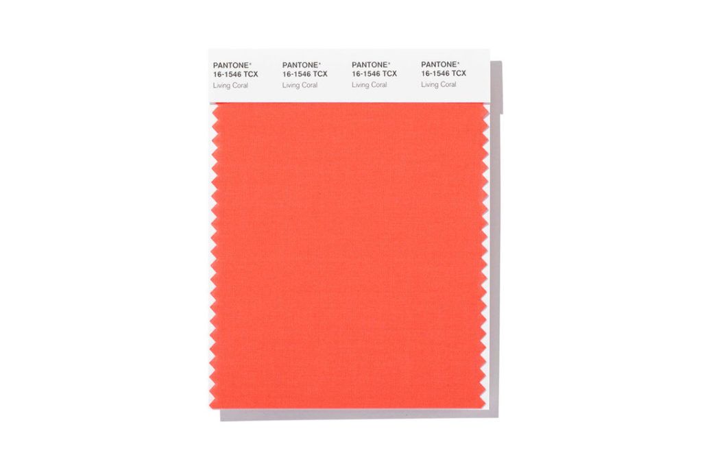 Pantone 2019 " Living Coral"