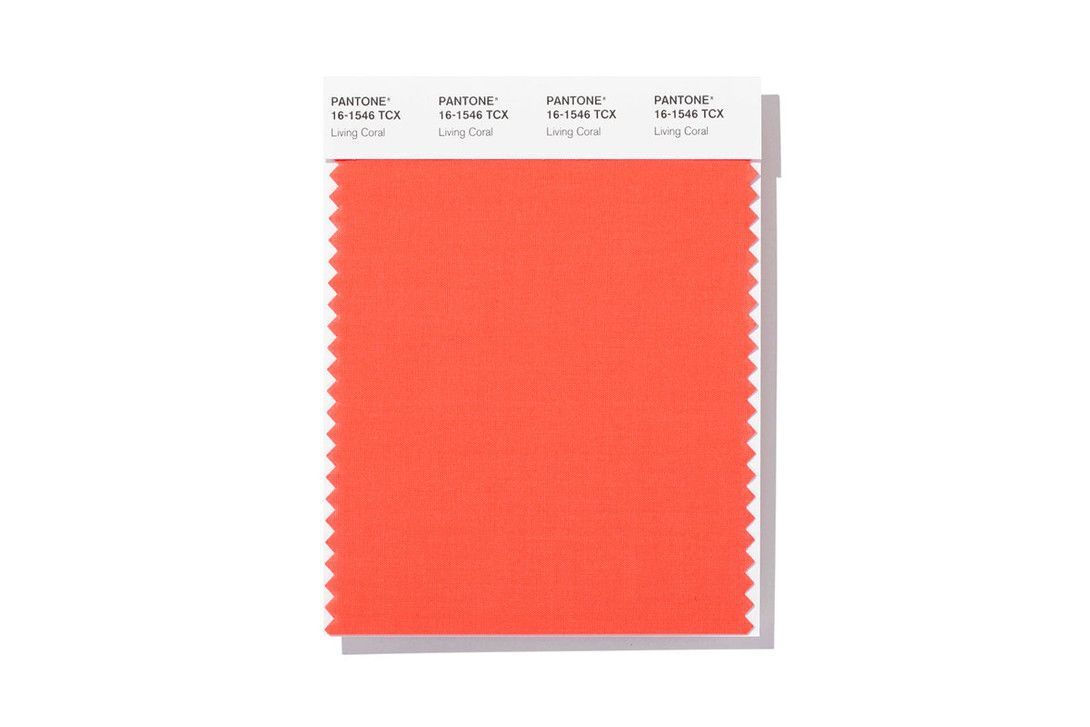 Pantone Anuncia El Color Del Año 2019 Highxtar