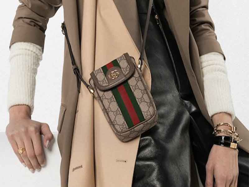 The Gucci iPhone Handbag