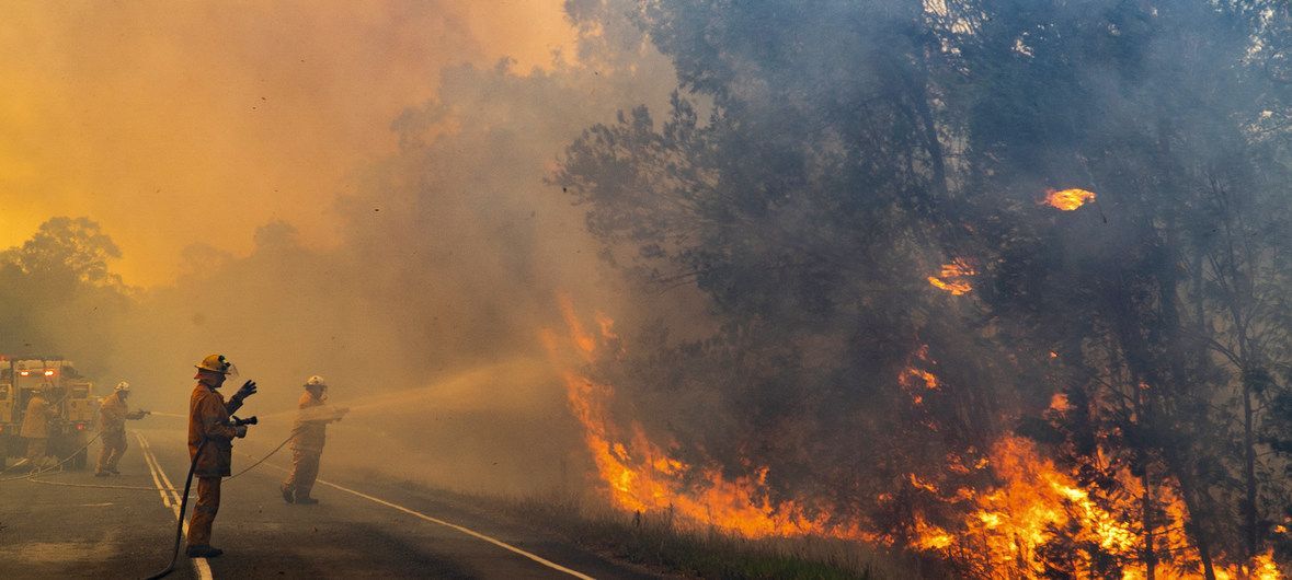 Australia incendios