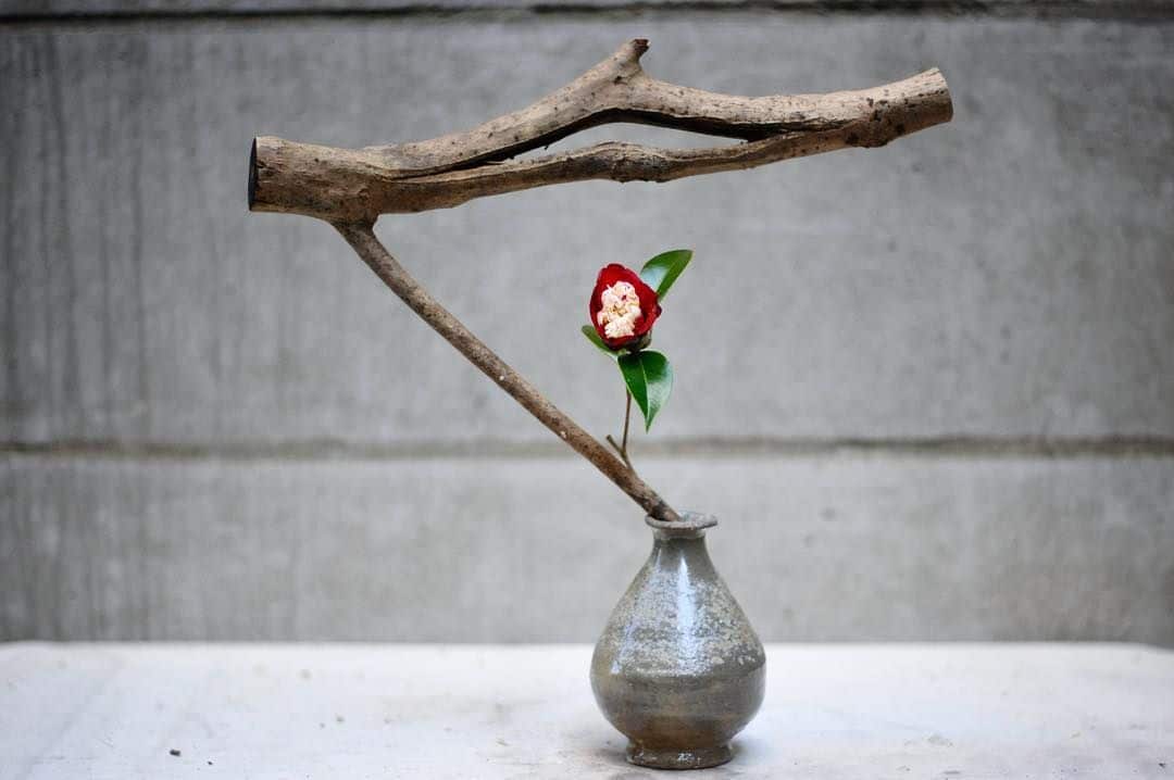 Watara Ikebana