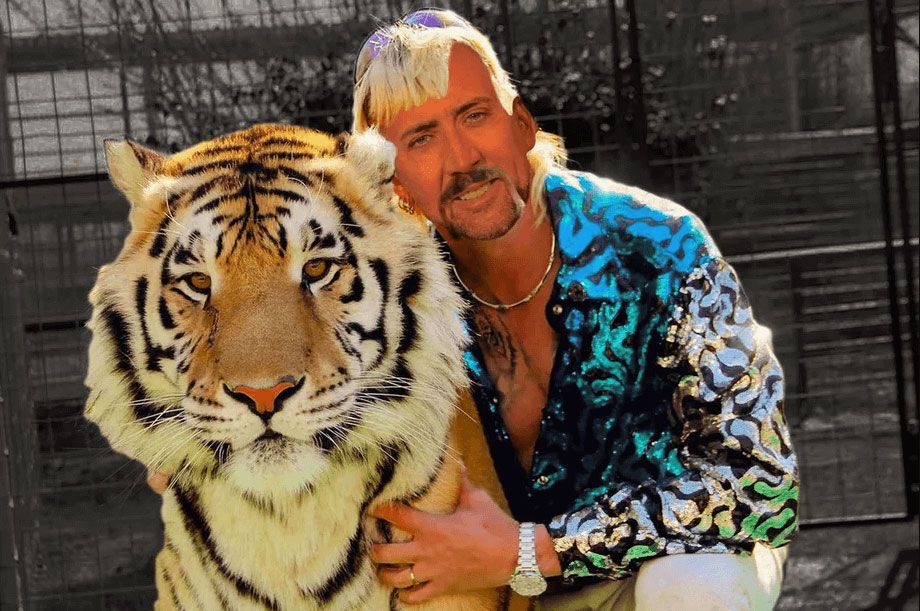 Nicolas Cage as Joe Exotic