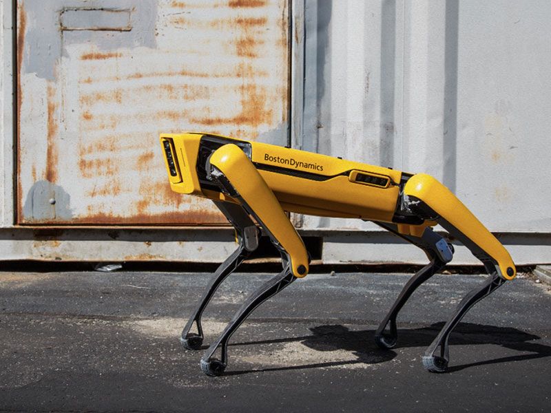 Spot, el robot móvil más avanzado del mundo ya a la venta ...