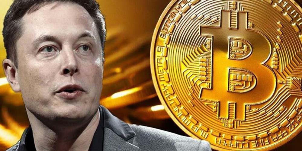 how many bitcoin did elon musk buy