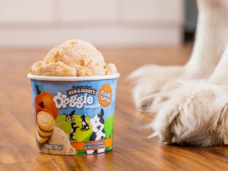 Ben & Jerry’s lanza helados para perros