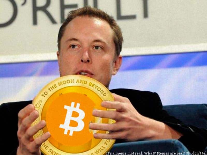 Elon Musk escribe en su bio de Twitter «#bitcoin» y se lía