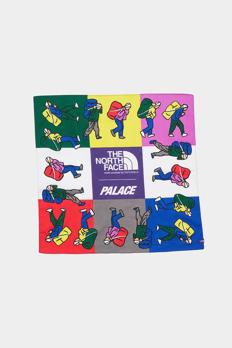 Take a look at Palace x The North Face Purple Label capsule
