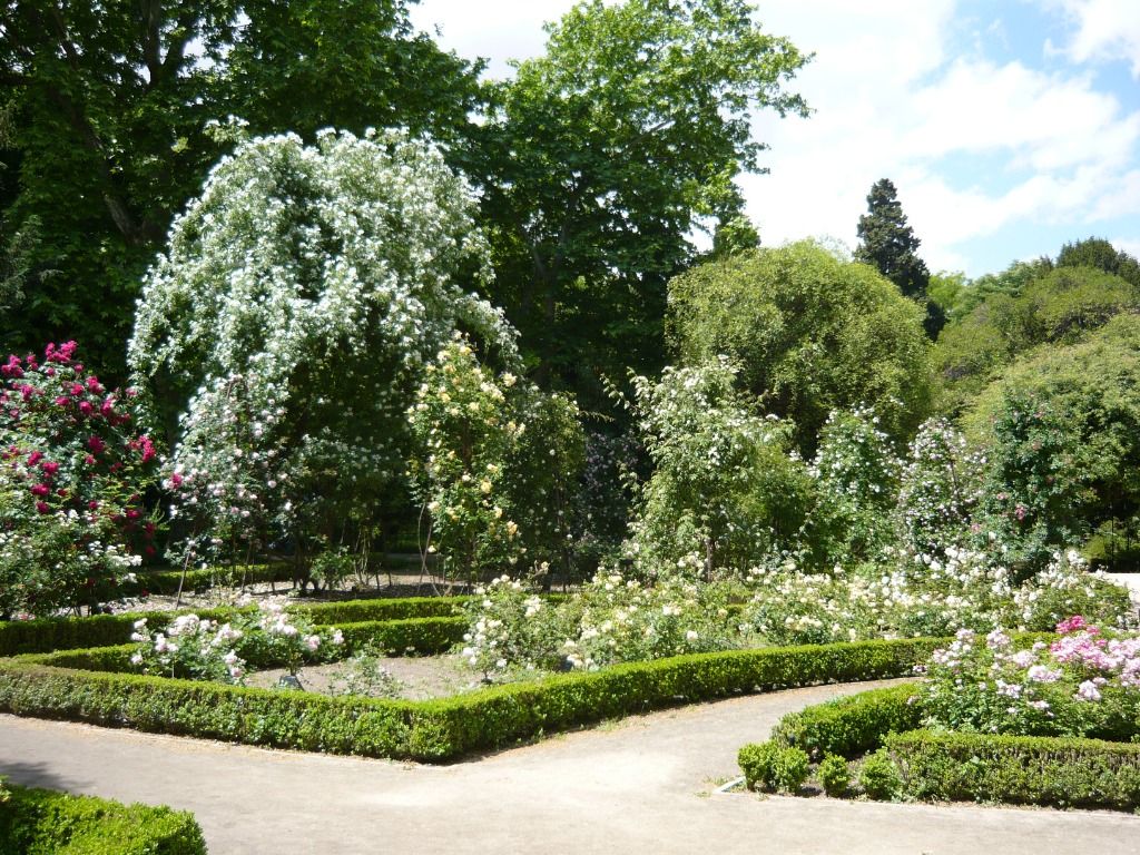 Real Jardín Botánico 