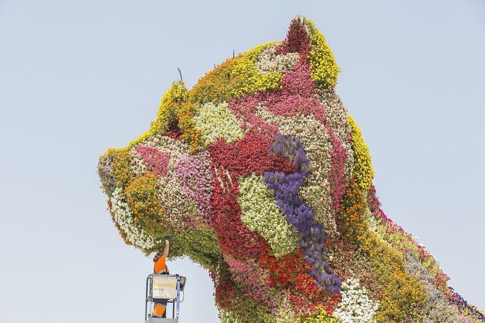 Why Did Jeff Koons Make a Giant Puppy?