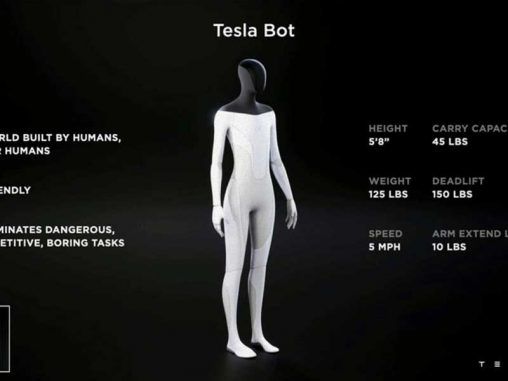 Elon Musk Tesla Bots