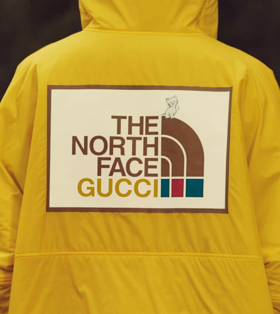 The North Face x Gucci – Second Chapter