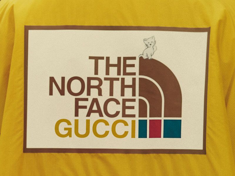 The North Face x Gucci: Chapter 2