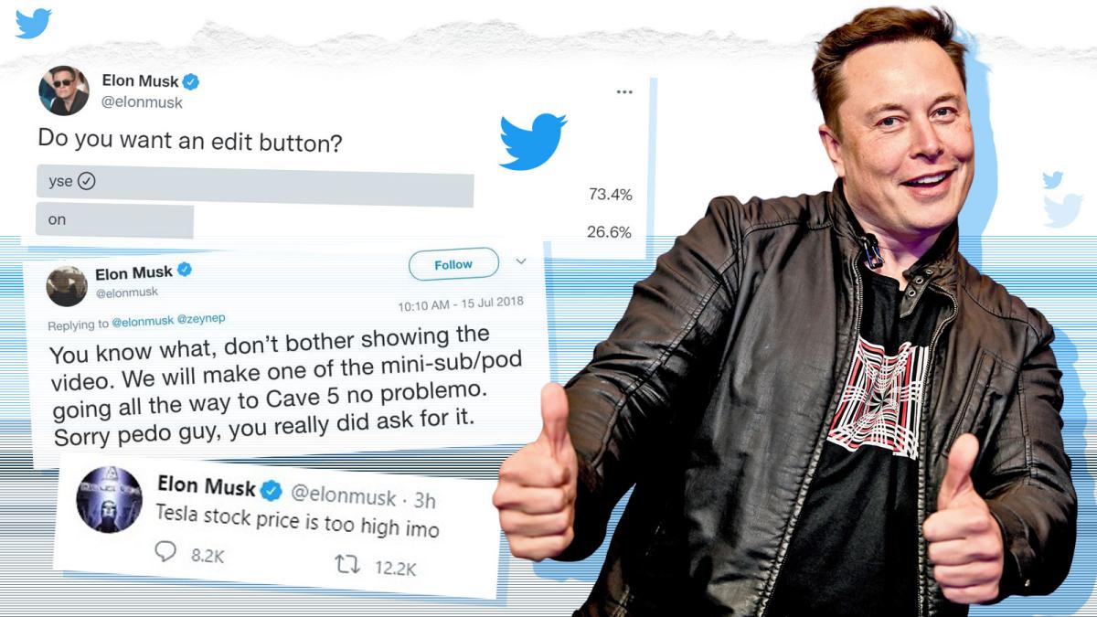 Breaking News English Elon Musk Buys Twitter - Stewart Sharp Info