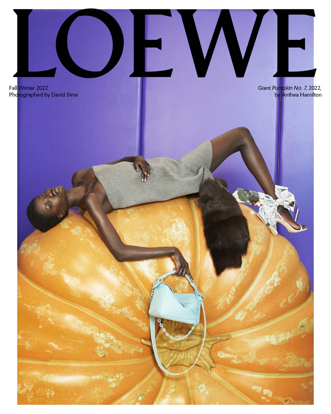 Loewe Introduces New Goya Bag Silhouette
