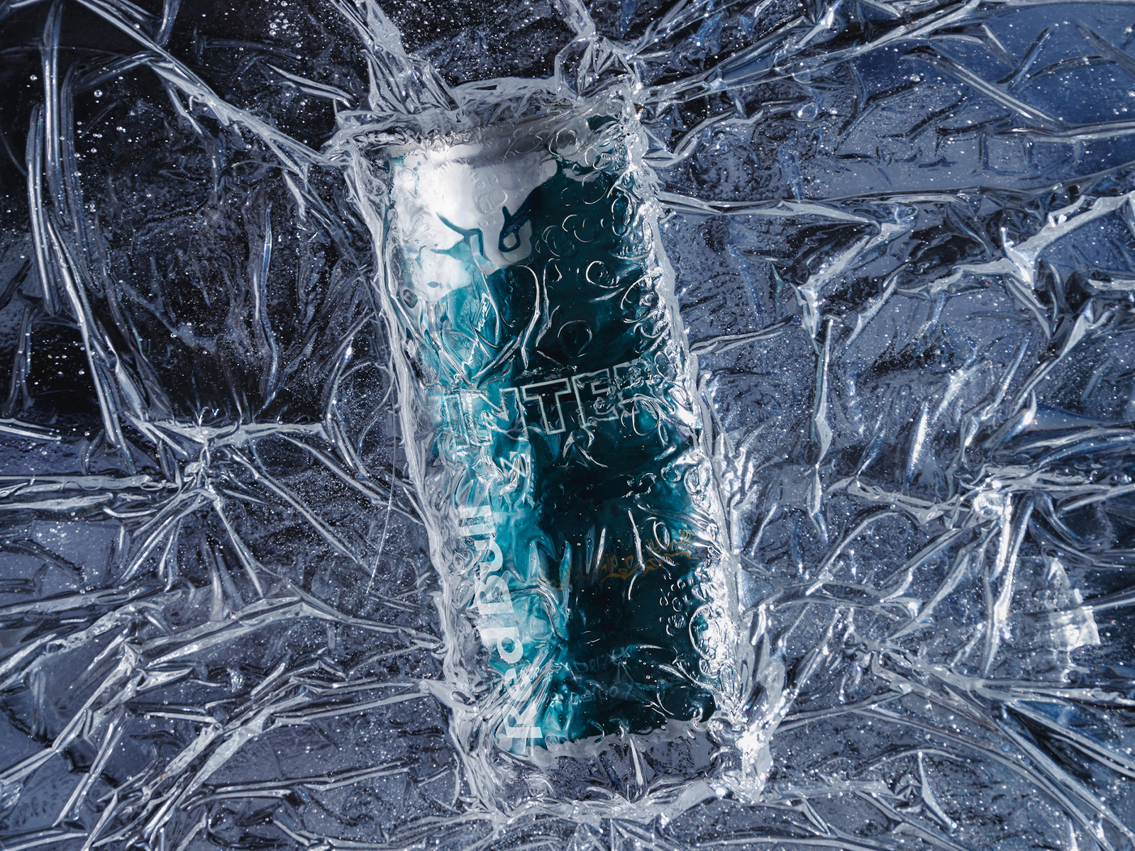 Enjoy the winter with the new fig and apple flavoured Red Bull Winter Edition