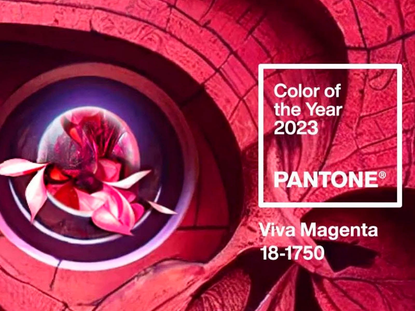 Pantone unveils colour of the year 2023: Viva Magenta