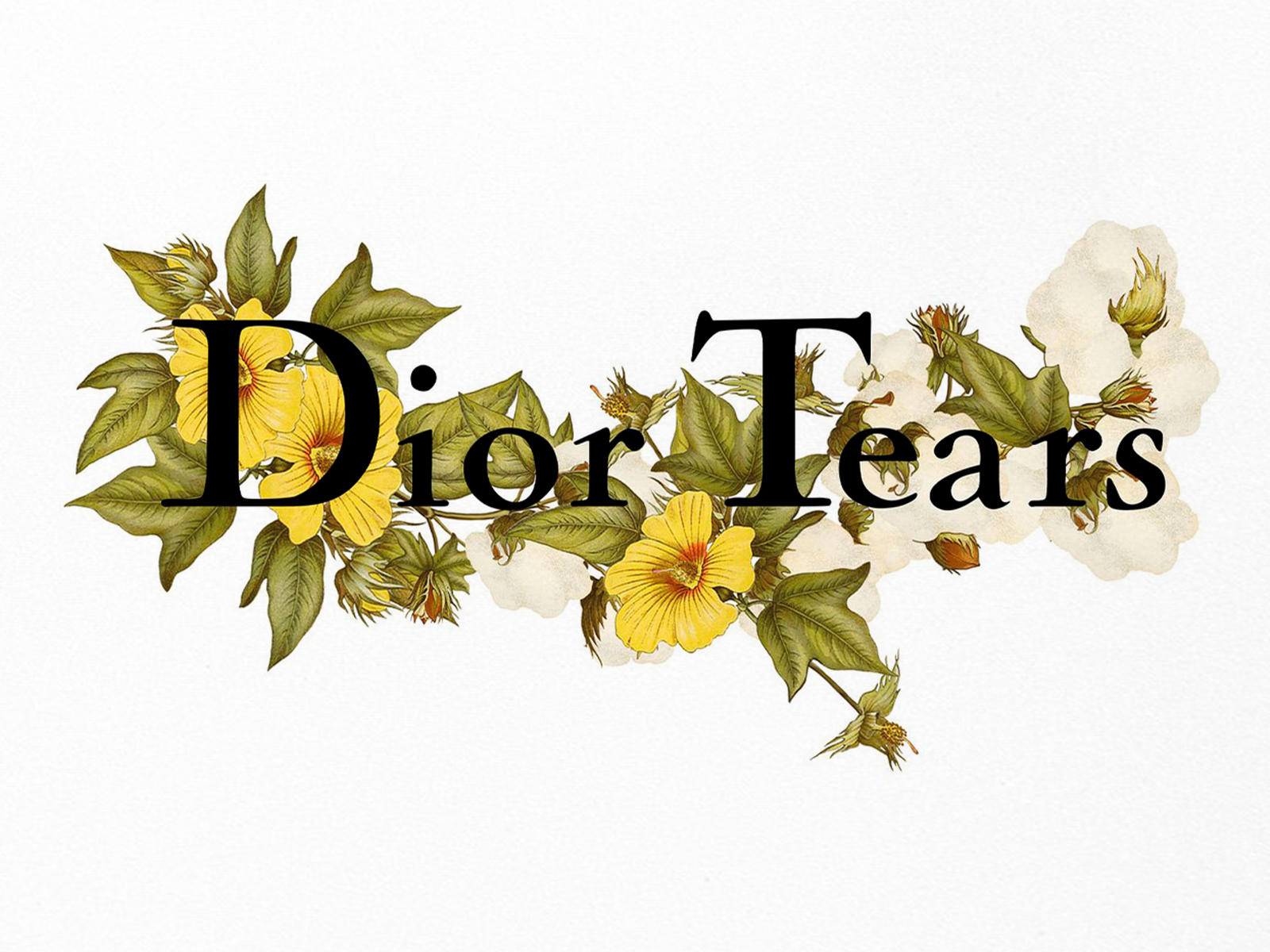 Dior cuenta con el talento de Tremaine Emory para su colección Pre-Fall 2023