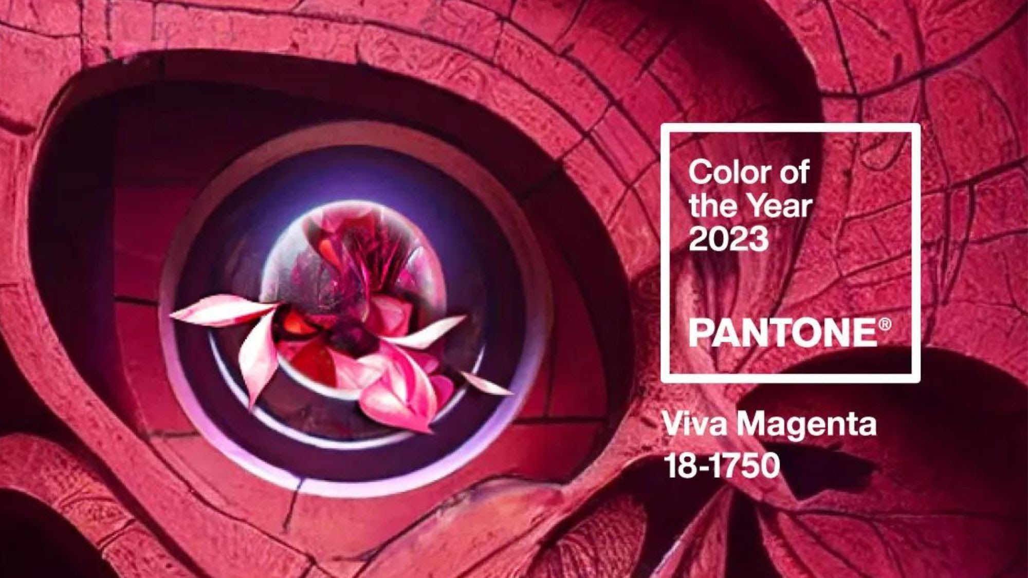 The colour of the year for 2023 is Viva Magenta! 