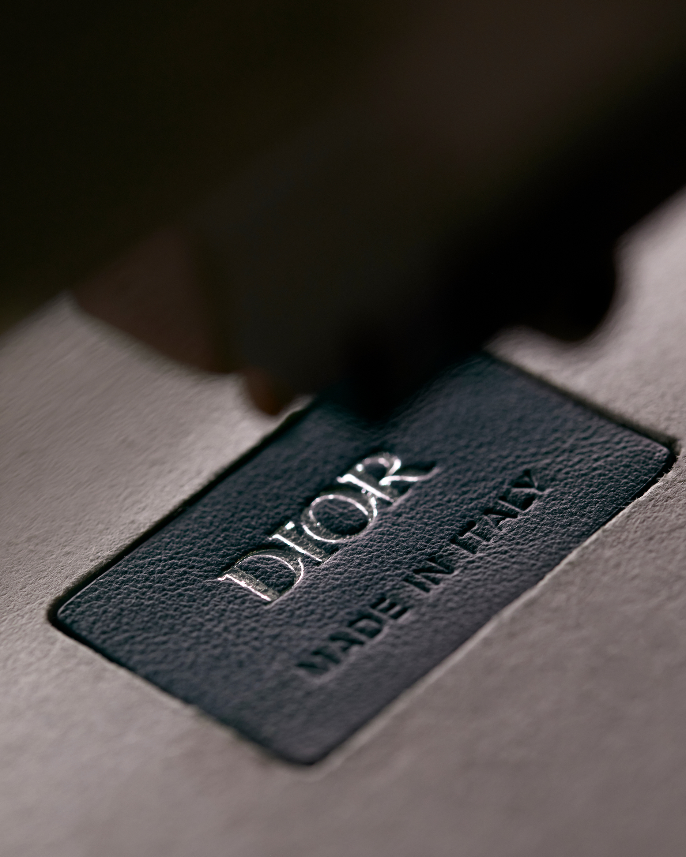 Dior Scarab: A symbol of rebirth and good fortune - HIGHXTAR.