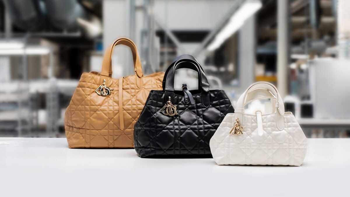 thumb-dior-toujours-bag-