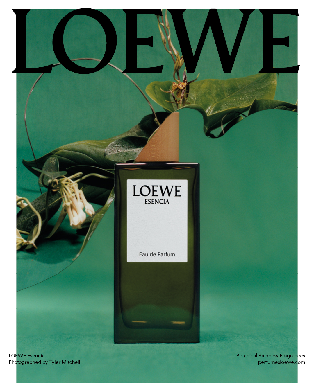 LOEWE Perfumes Botanical Rainbow con Úrsula Corberó, Greta Lee y Stephane  Bak - HIGHXTAR.