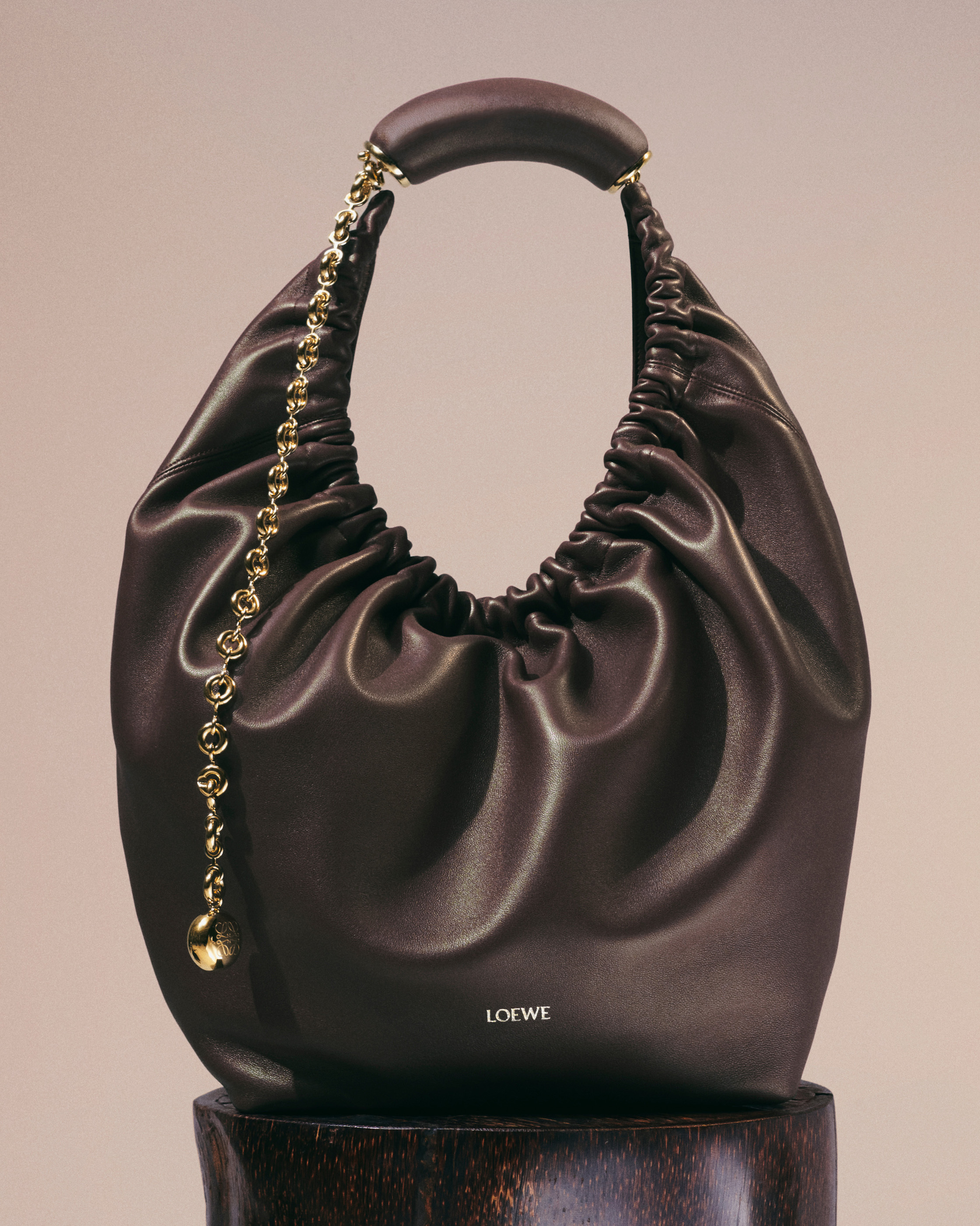 Loewe Squeeze Small leather shoulder bag