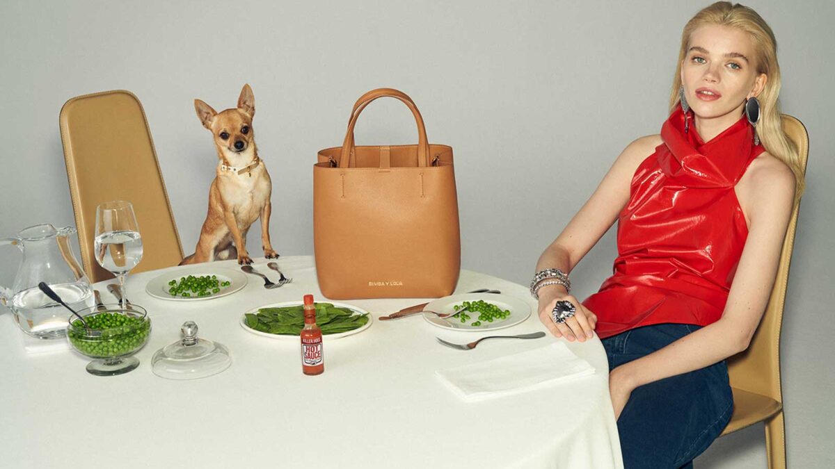 Living the chihuahuamania with Bimba Y Lola and its new it bag