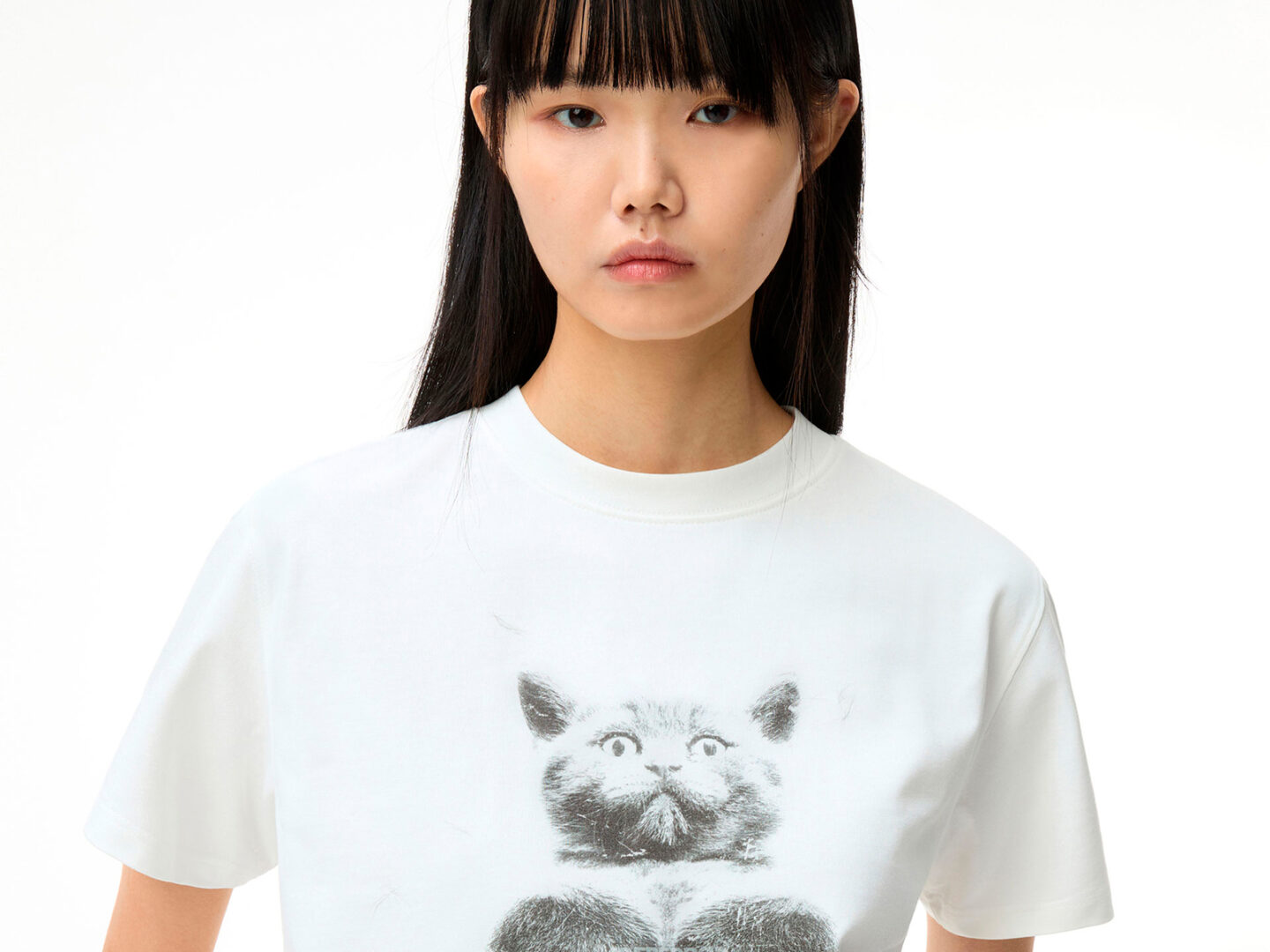 Unleash your cat love with the latest capsule from ADER ERROR