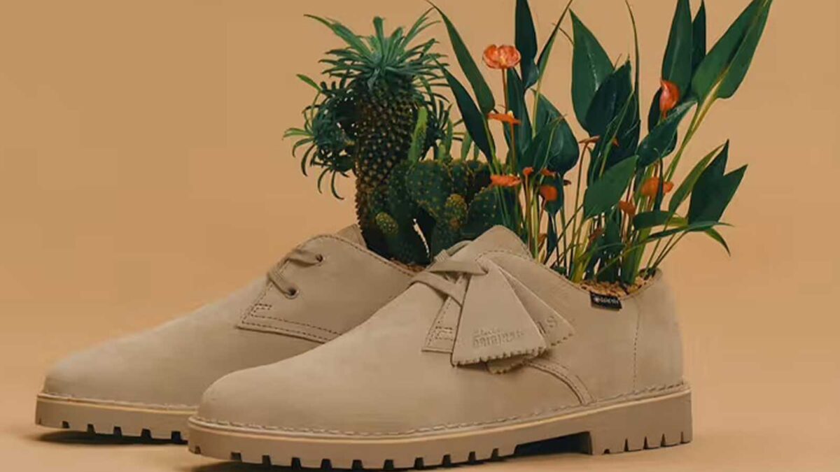 highxtar-clarks-beams-1-