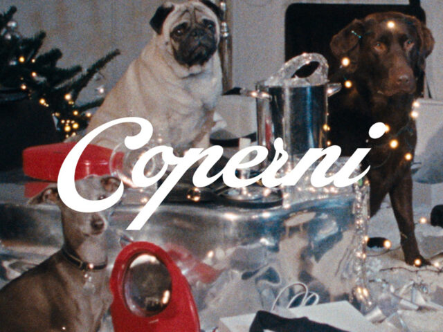 Coperni recruits 5 adorable puppies for Christmas