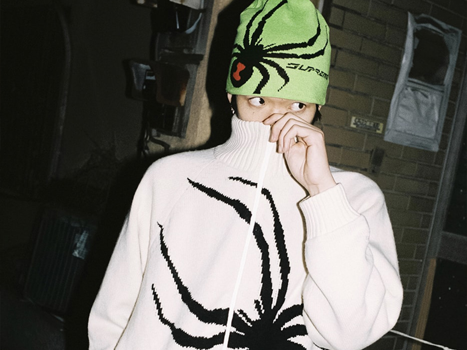 Supreme Spyder Beanie (FW24) - $48