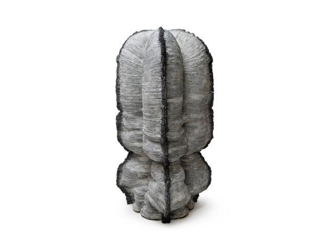 Kunimasa Aoki wins LOEWE FOUNDATION Craft Prize 2025