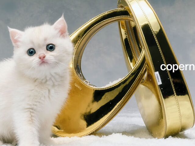 Los momentos más icónicos de la presencia felina en el mundo de la moda