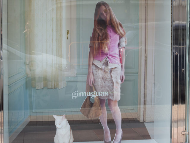 Gimaguas transforma sus escaparates junto a Julia Creuheras