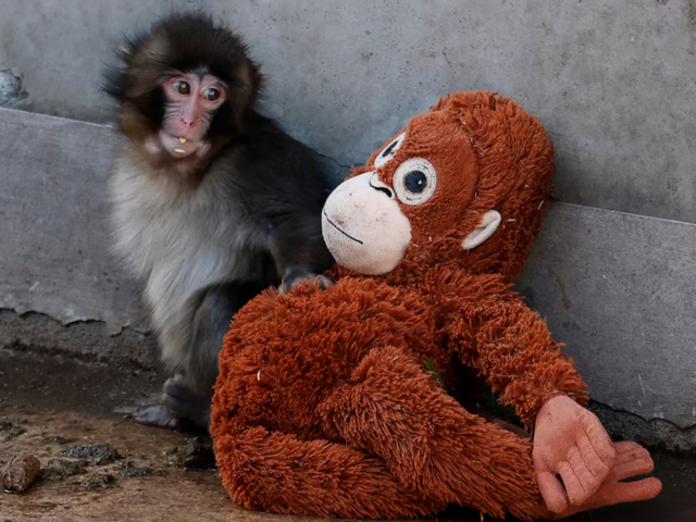 REUTERS/ Kim Kyung-Hoon